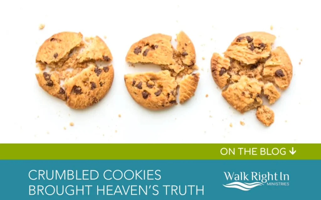 Crumbled Cookies Brought Heaven's Truth